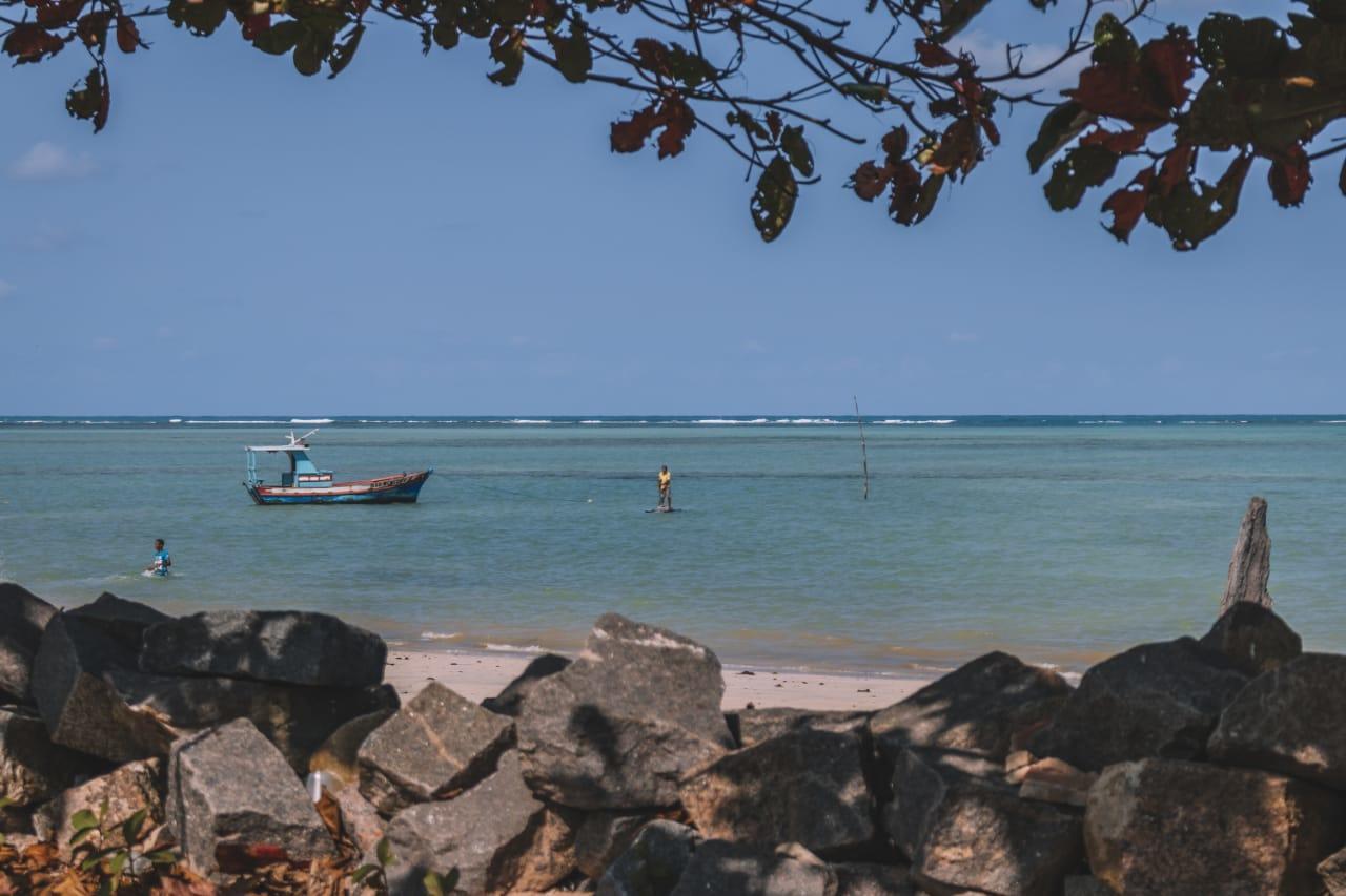 Parque Dos Coqueiros- Bangalos E Suites Maragogi Eksteriør billede